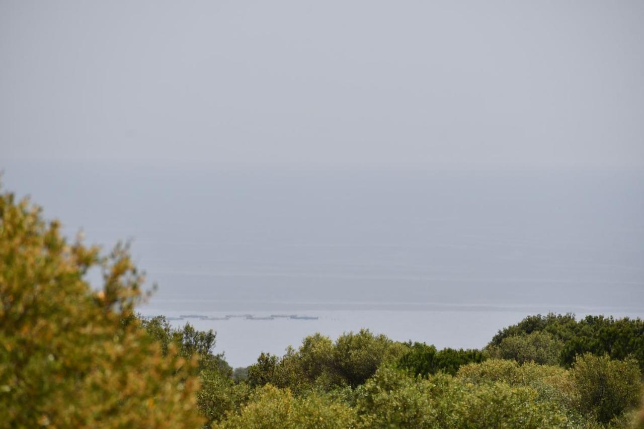 Tenute Efis Galtellì Exteriér fotografie